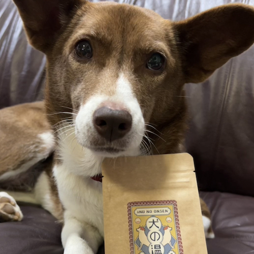 ミックスの飼い主の感想